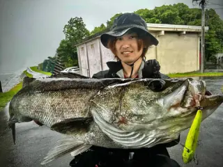 邪道　jado 引退　セット JADO PRODUCTS (@jadosw_official) / X