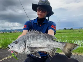 邪道　jado 引退　セット 2025年最新】邪道の人気アイテム - メルカリ