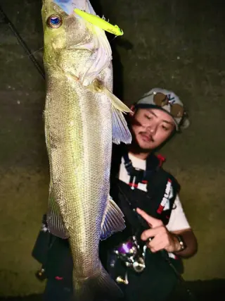 邪道　jado 引退　セット JADO PRODUCTS (@jado_products_official) · Nishinomiya-shi, Hyogo