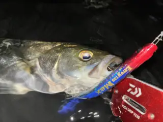 邪道 JA-DO レゾン オルナ 63ML シーバス アーバレスト ロッド 邪道 JA-DO レゾン オルナ 63ML シーバス アーバレスト ロッド