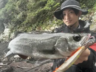 邪道　jado 引退　セット 邪道 jado 引退 セット 商品紹介 - JADOPRODUCTS